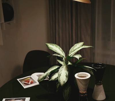 Showroom
