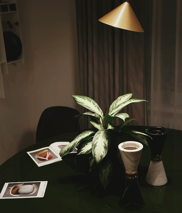 Showroom Interior